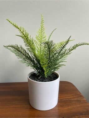Project 62 Faux Green Fern in White Ceramic Pot
